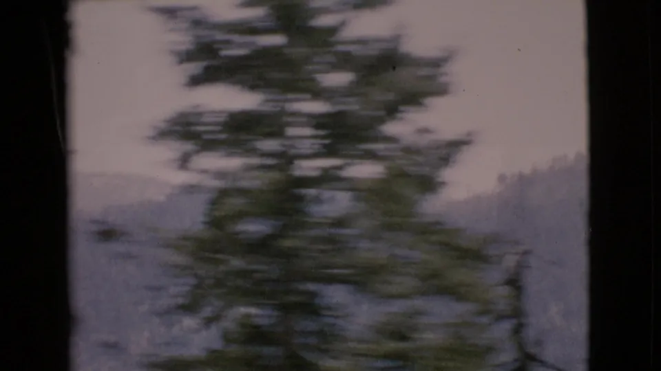 1968 8mm car-window view in San Diego County, showing a blurred foreground tree and soft wooded hills beyond.