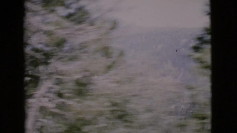 Aerial 8mm view over San Diego County treetops, with soft haze, dark edge framing, and indistinct forest detail from movement.