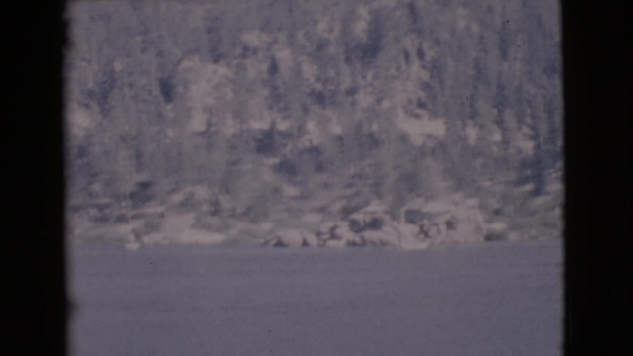 Calm lake with a forested hillside and pale shoreline in the distance.