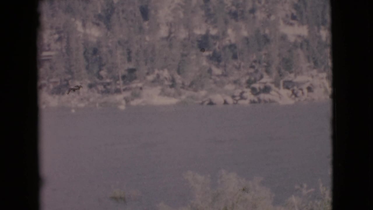 Distant wooded lakeshore seen through dark vertical frame edges.