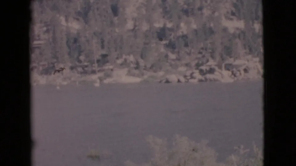 1968 San Diego County 8mm view of a quiet lake with a wooded shoreline and dark frame edges in the foreground.