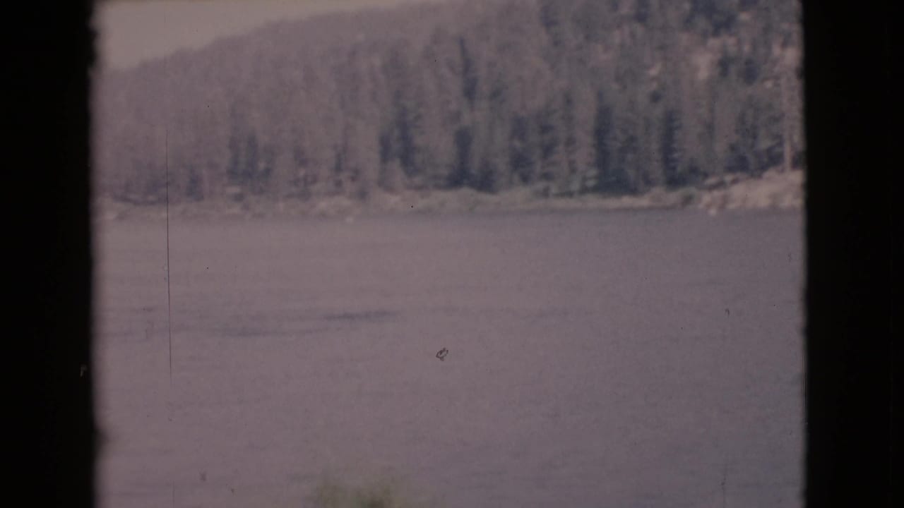 Calm lake with distant wooded shoreline and dark vertical frame edges.
