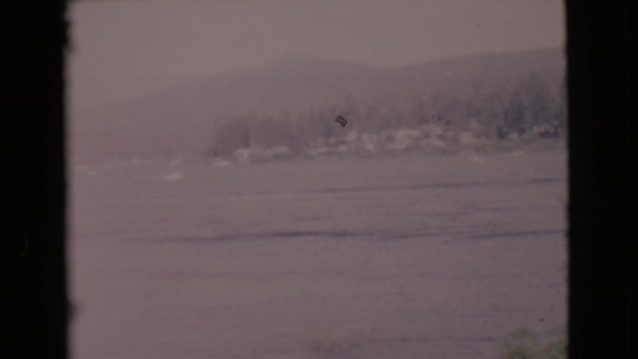 Hazy water view with distant shore, trees, and a dark frame edge at center.