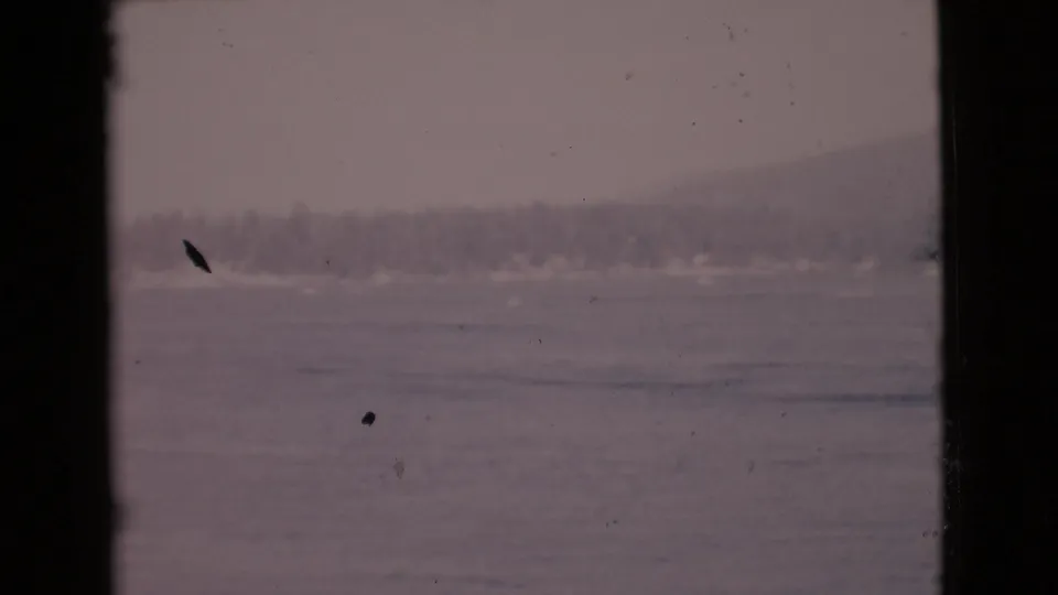 1968 San Diego County ocean-view frame with a soft far shore, low hills, muted water, and visible 8mm dust and exposure variation.