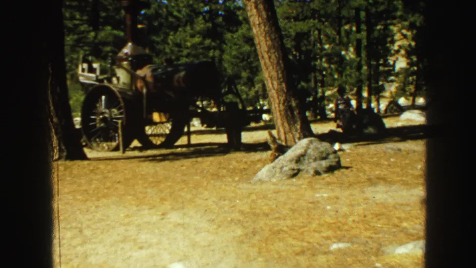 The wooded park view holds on a vintage steam vehicle or tractor display, with rocks and tree trunks in the foreground.
