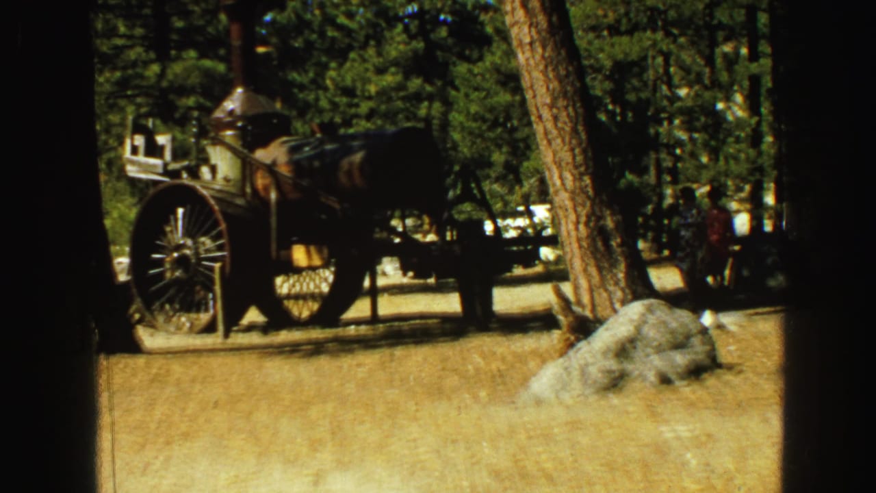 Steam engine display among trees with a few visitors nearby.