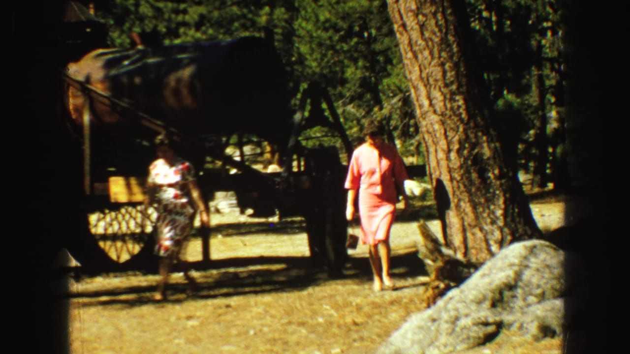 A woman in a pink dress walks away beside trees and a steam engine display.