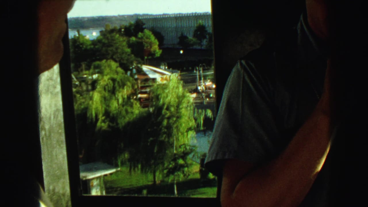 Interior window view with trees and waterfront outside and part of an adult man at right.
