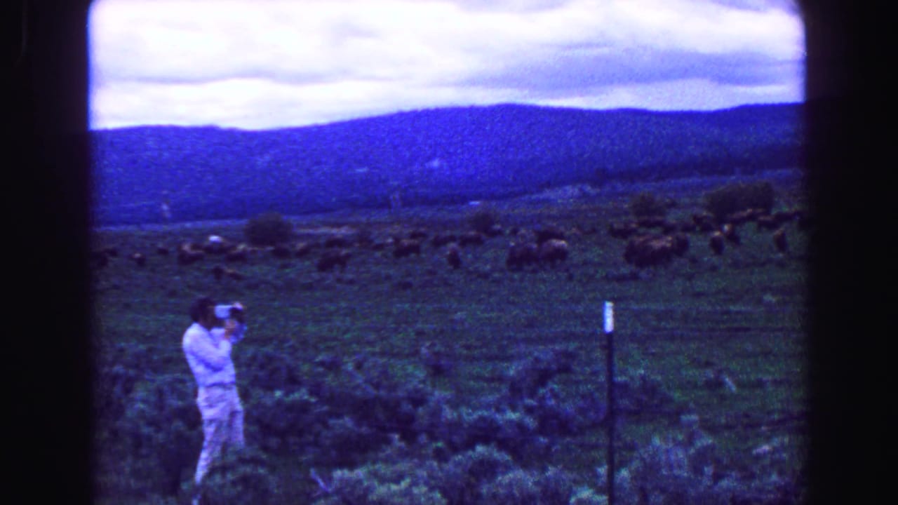 Man standing near a fence photographs a grazing herd in a mountain field.