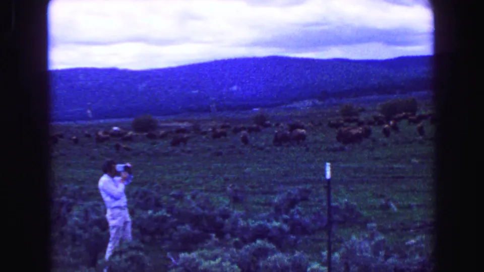A man in light clothing appears to photograph a grazing herd in a wide 1968 British Columbia landscape.