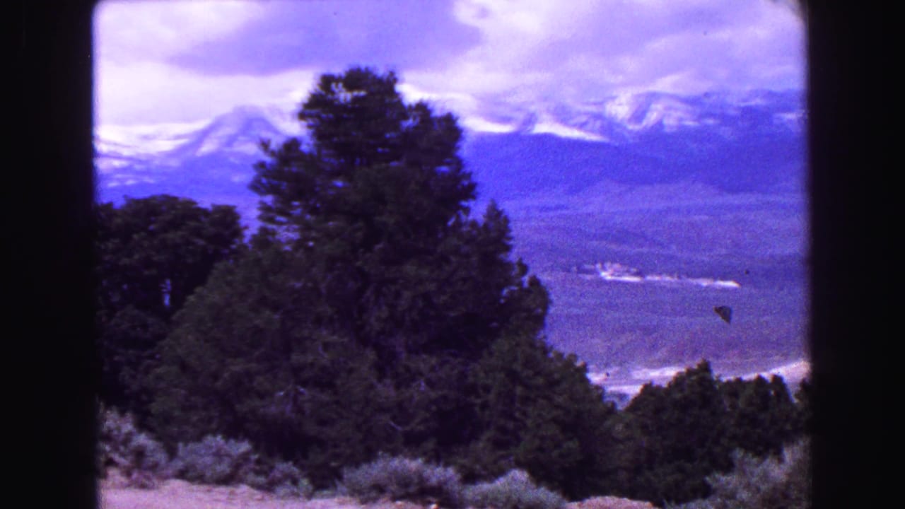 Evergreen trees in the foreground with distant snow-capped mountains and a valley beyond.