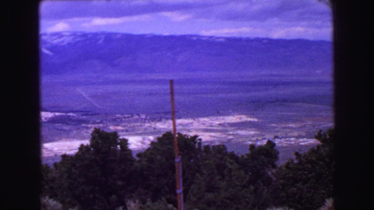Distant valley and mountains seen past trees and a utility pole.