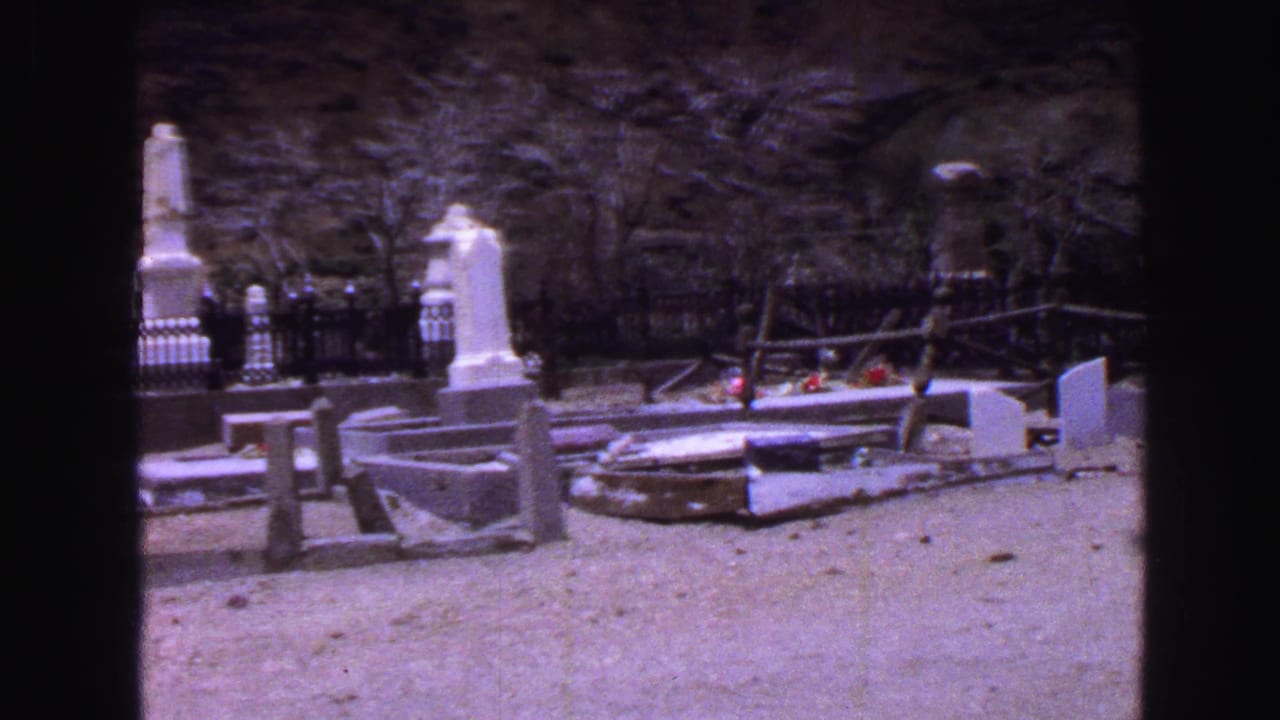 Cemetery monuments and grave slabs with bare trees and a small floral tribute.