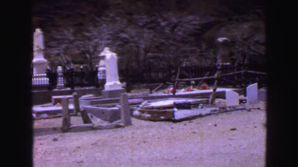 A Vancouver cemetery in 1968, showing pale headstones, flat grave slabs, bare trees, low fencing, and small red flowers.