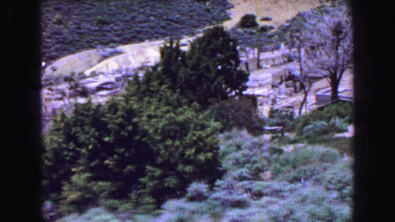 Shrub-covered hillside with trees and a pale winding path near water or open ground.