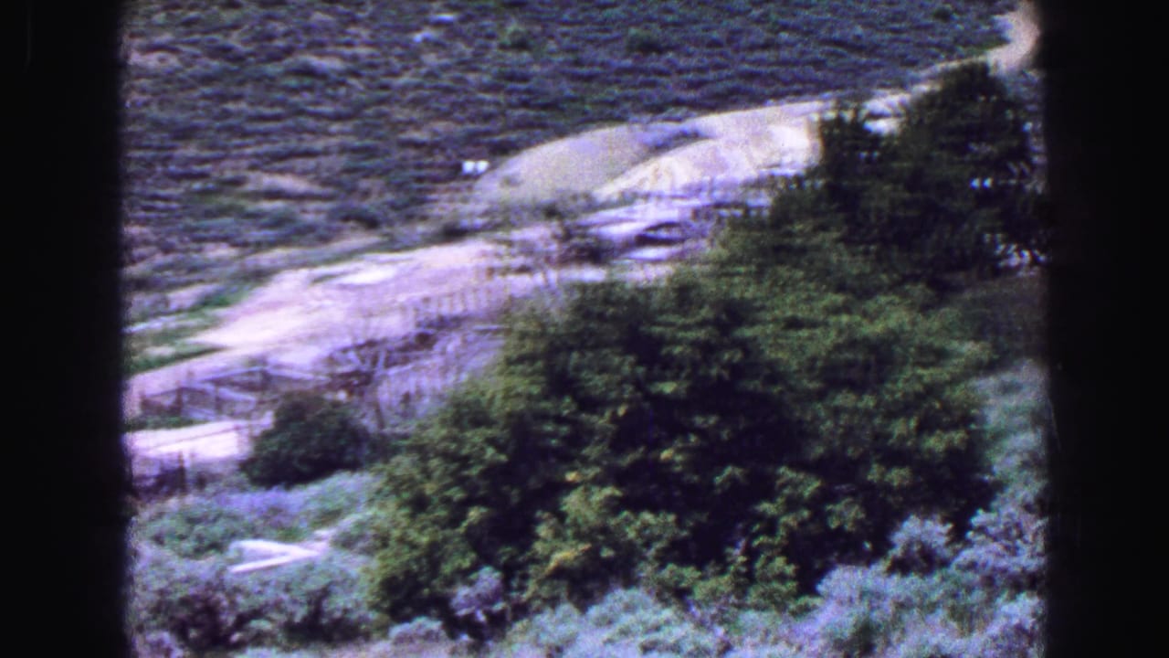 Trees and shrubs overlook a pale path or road with water or open terrain beyond.
