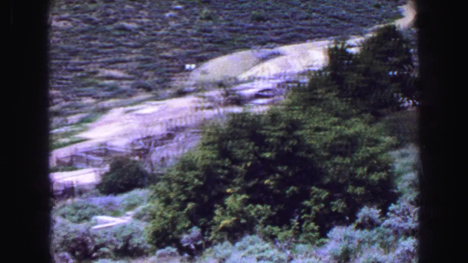 Handheld 8mm view of trees, shrubs, and a light-colored path or road across a hillside in the Lake Tahoe travel sequence.