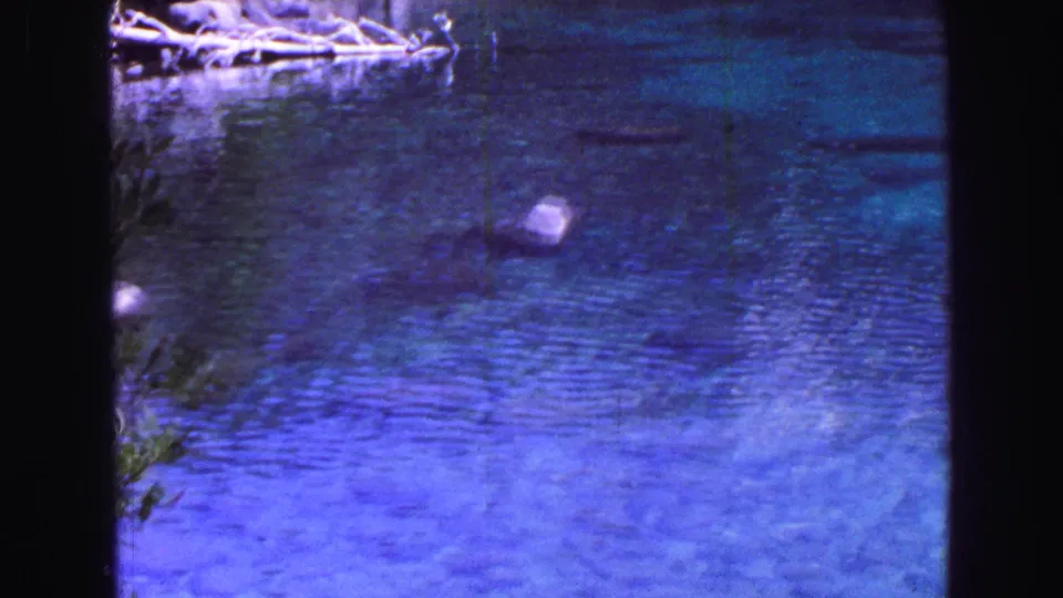 1968 Vancouver home-movie frame with rippling blue water, a pale rock above the surface, stones below, and rocky shoreline detail.