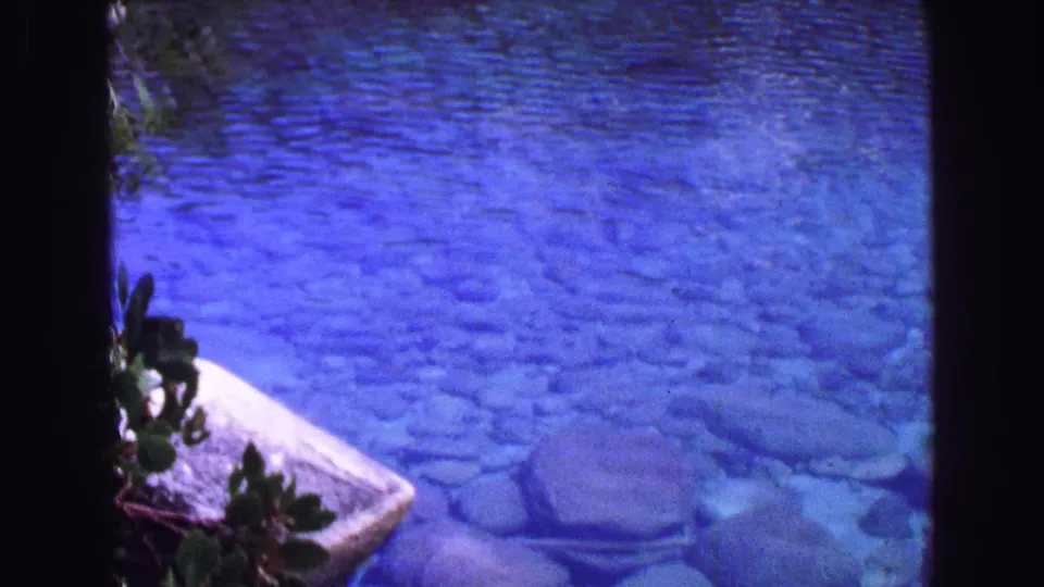 1968 Vancouver 8mm view of shallow clear water, rounded underwater stones, a pale bank edge, and small leafy plants.