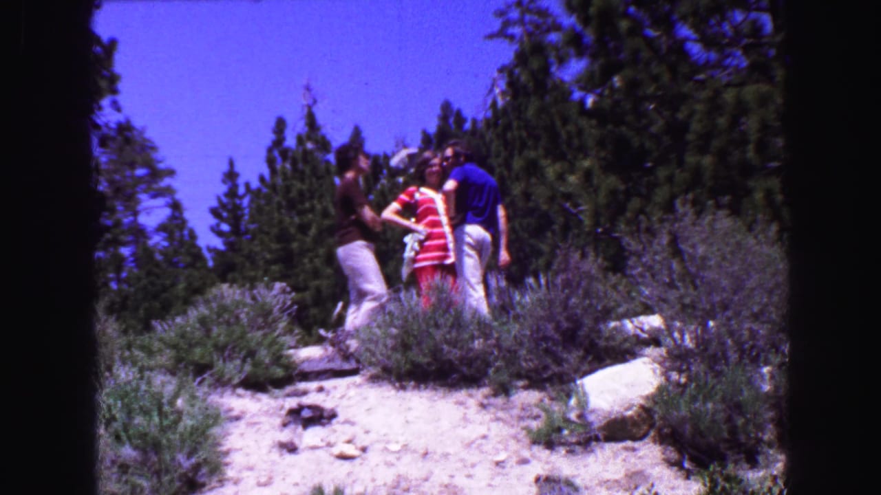 Three adults standing on a sunny shrub-covered hillside among evergreens.