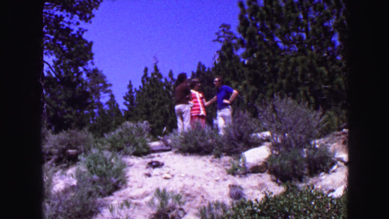 Adults gathered on a sandy hillside with shrubs and tall trees behind them.