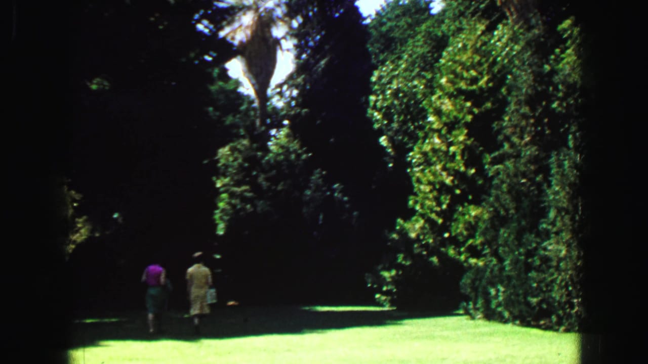 Two people walking across a sunny green park lawn beside dense trees.