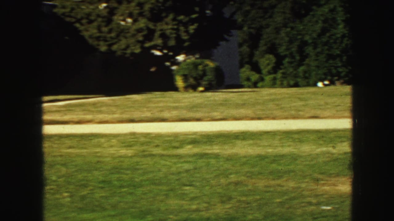 Sunlit lawn, walkway, trees, and a white wall seen beyond dark vertical framing.