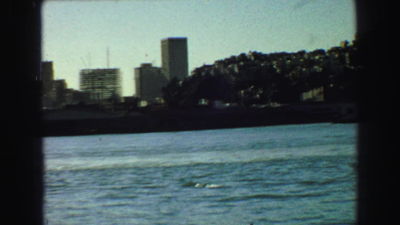 Boat-window view of water, distant high-rises, and a tree-covered shoreline.