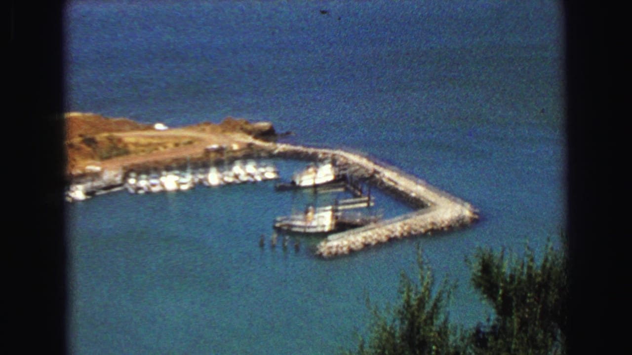 Wide harbor view with breakwater, small white boats, blue water, and shoreline brush.