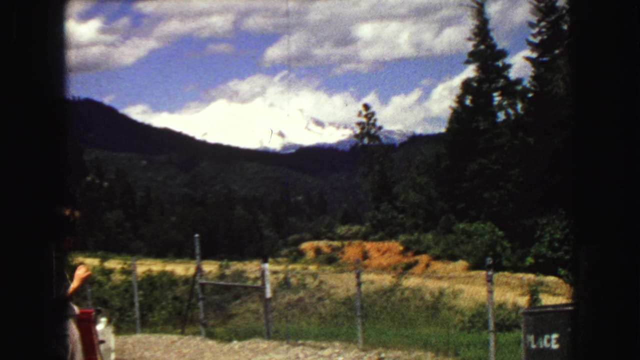 Snowy mountain beyond a forested valley, roadside fence, grass, clouds, and a partial person at the left edge.