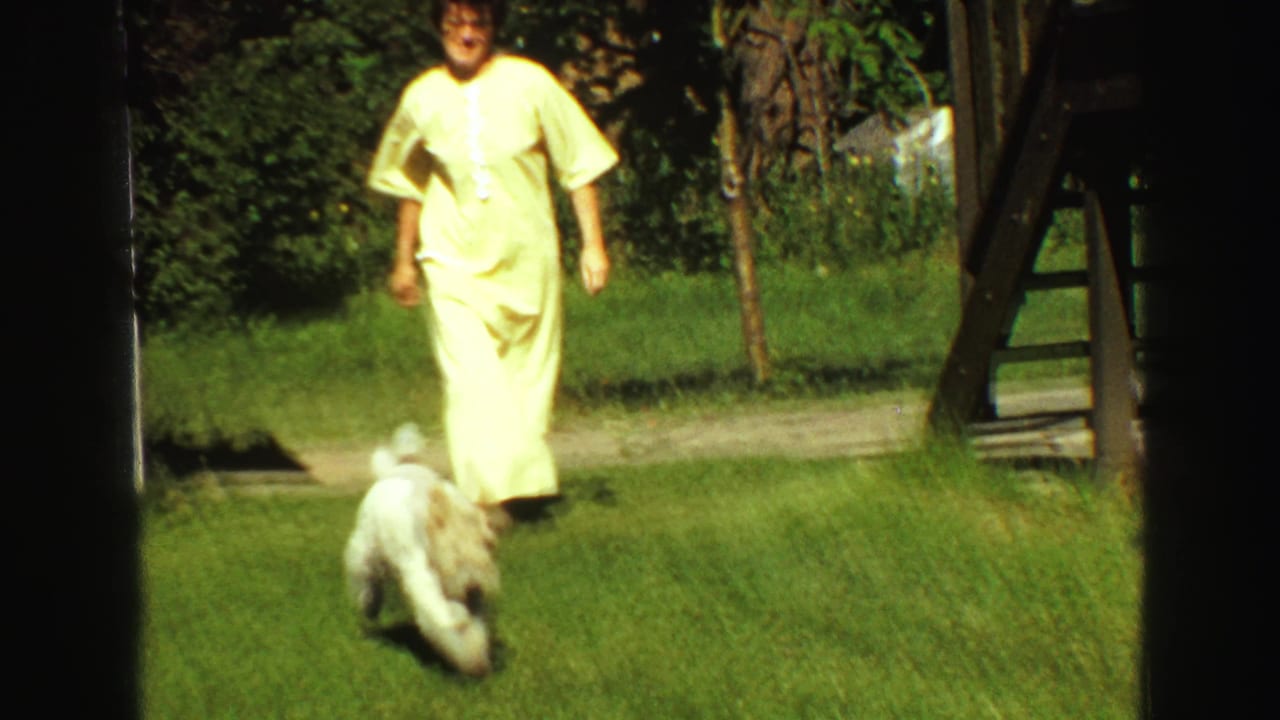 1968 home-movie backyard scene with a woman in light clothing approaching a small white dog on a green lawn.
