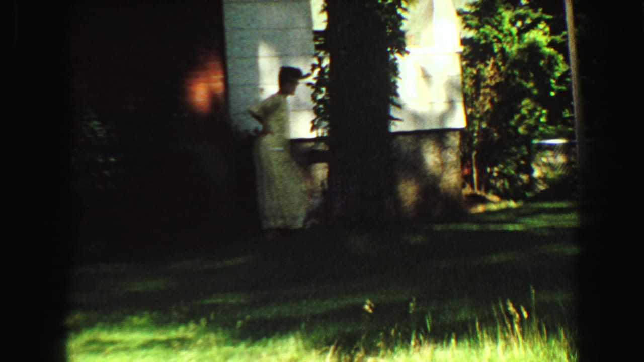 Small dog runs on the grass while the woman remains near the house and trees.