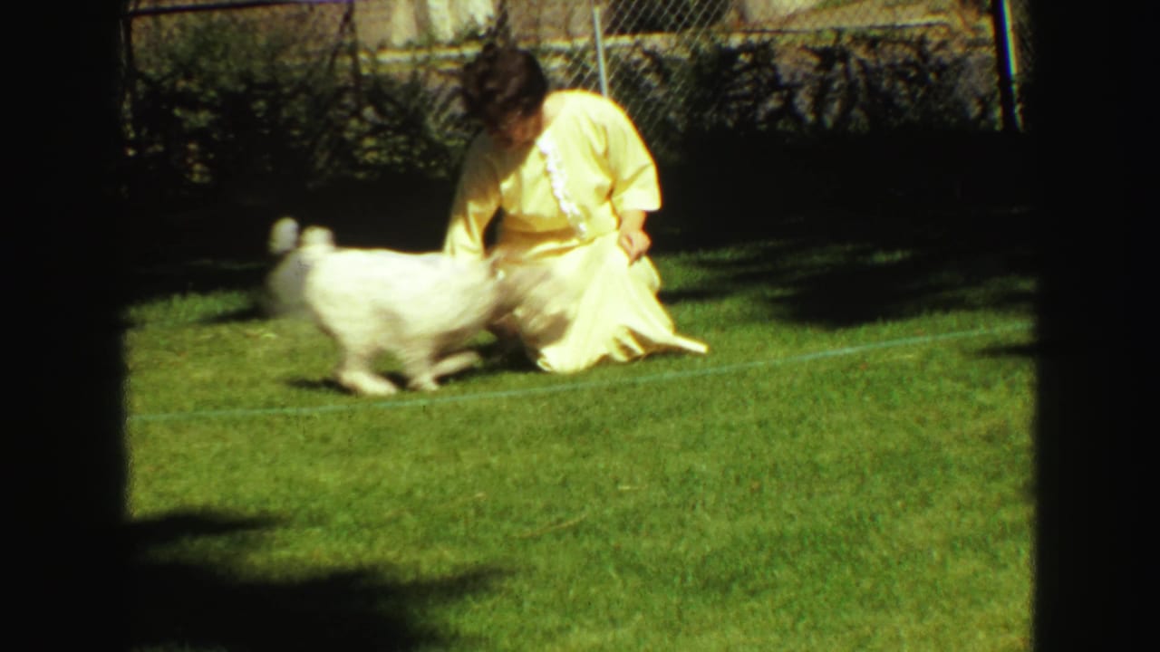 A person in a pale yellow dress crouches or kneels toward a small white dog on a green lawn in the Vancouver home-movie scene.