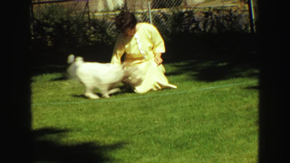 A person in a pale yellow dress crouches or kneels toward a small white dog on a green lawn in the Vancouver home-movie scene.