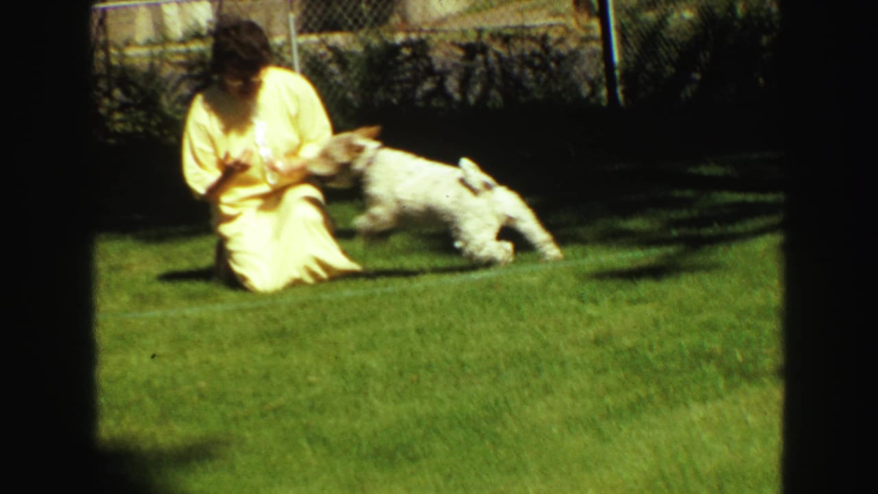 Woman in a yellow dress sits on grass as a small white dog jumps beside her.