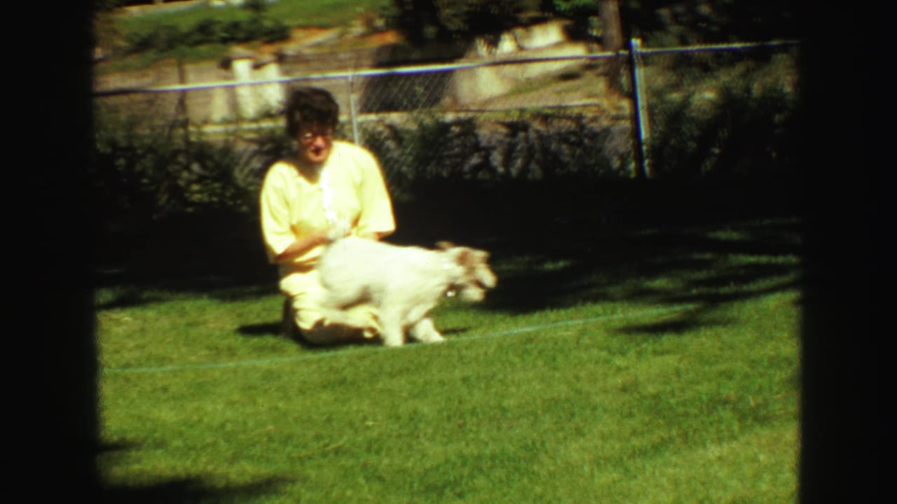 The woman remains seated on the Vancouver backyard lawn as the small white dog turns and moves away in bright sunlight.