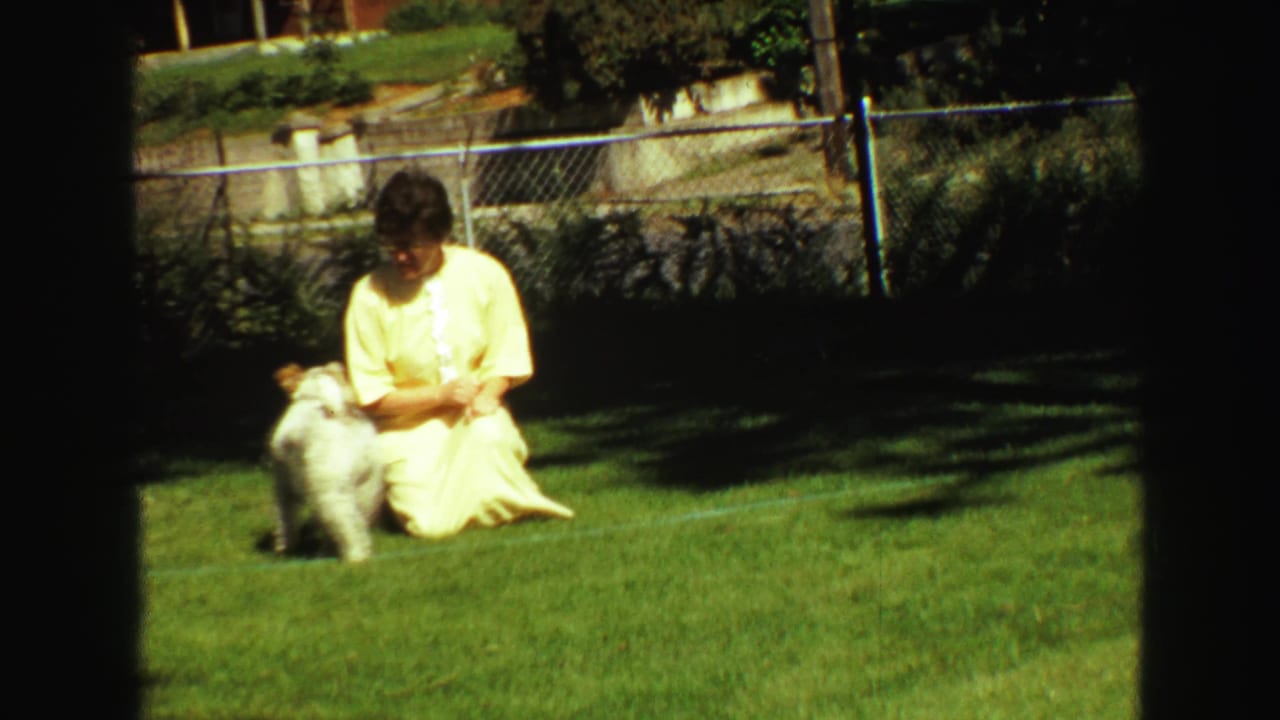 A woman in a yellow dress sits low on the grass with the small white dog beside her in a sunlit Vancouver backyard.
