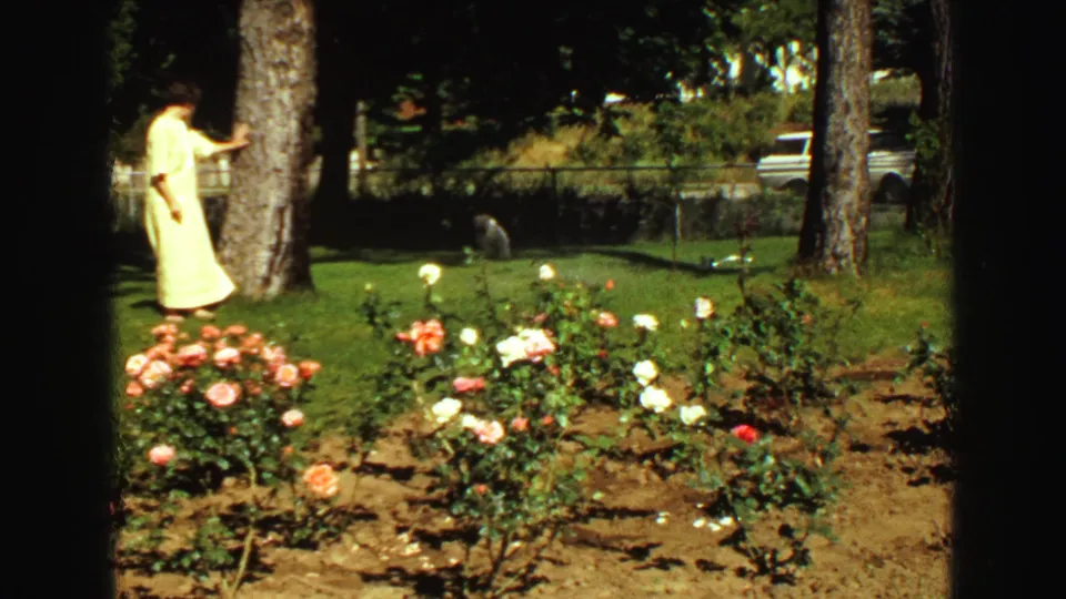 The woman remains beside a large tree in a Vancouver backyard, framed beyond rose bushes with a light-colored vehicle behind the fence.