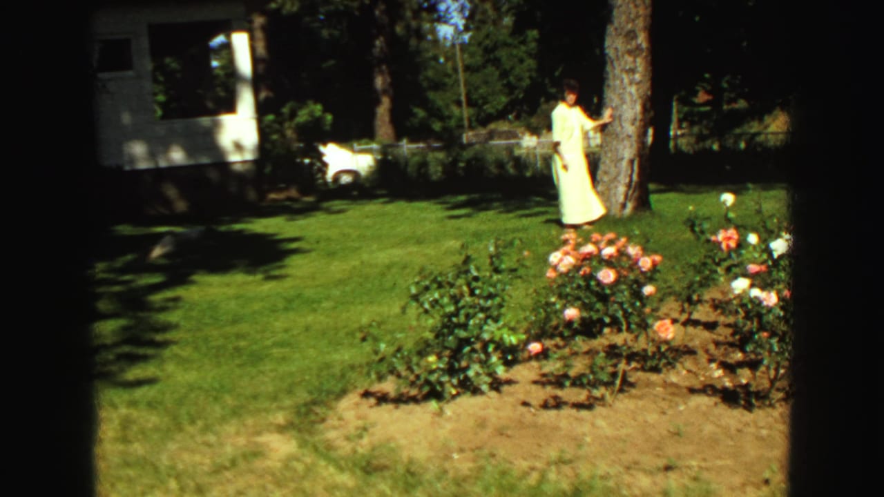 The woman stands near the tree while a small white dog moves across the lawn, with rose bushes and part of a house visible behind them.