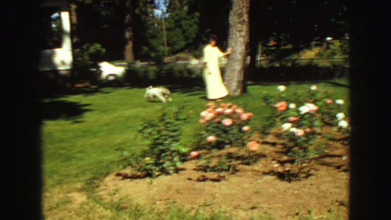 1968 Vancouver home-movie frame showing a woman in a pale yellow dress near trees while a small white dog runs past rose bushes.