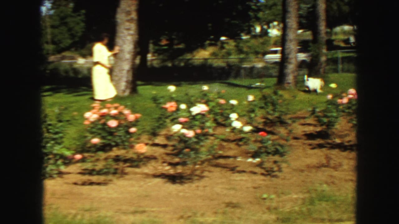 Woman in a yellow dress stands beside a tree while a white dog runs near the flower bed.