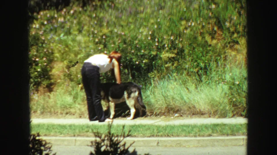 In 1968 Vancouver home-movie footage, a red-haired woman bends toward a German Shepherd on a suburban sidewalk.