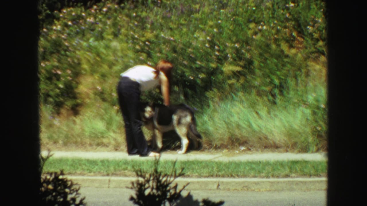A woman in a white top and dark pants leans over a German Shepherd on a leafy Vancouver sidewalk in 1968 footage.