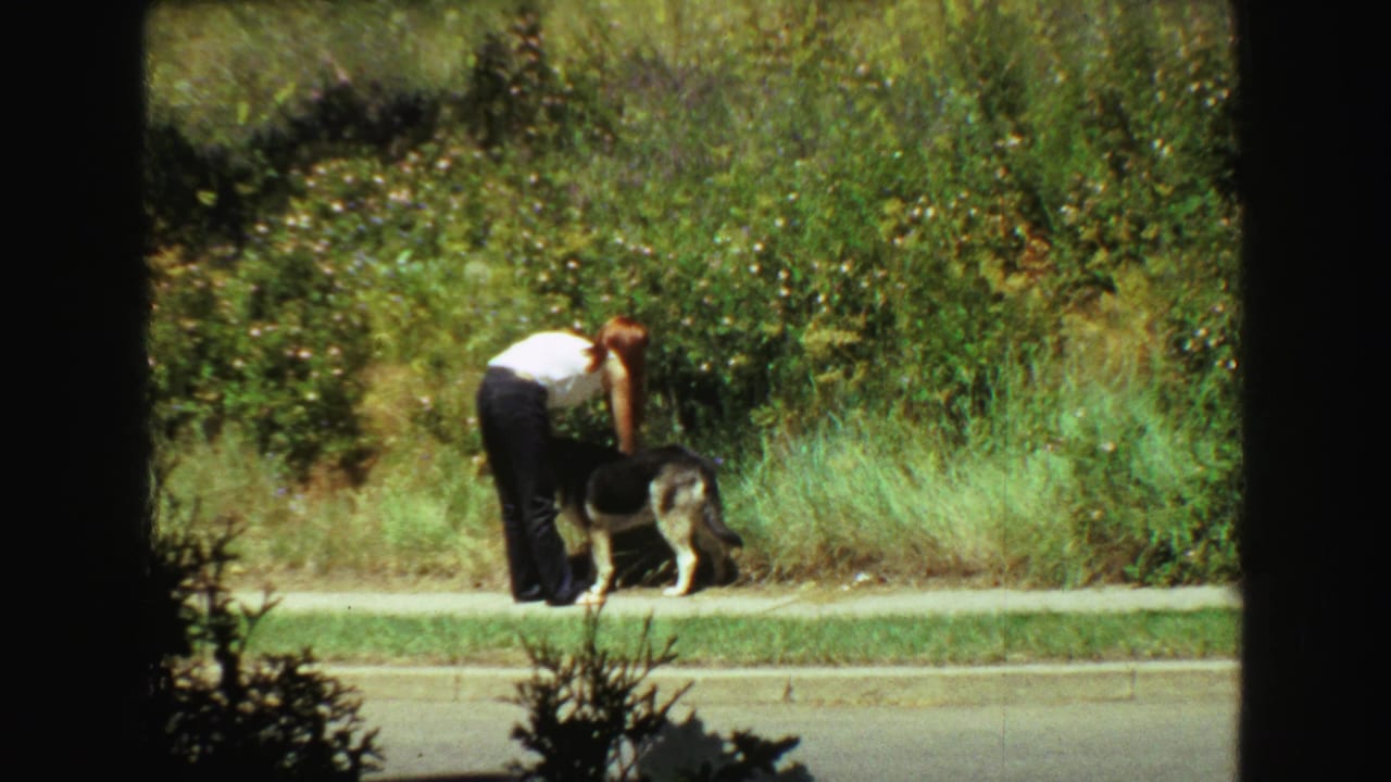 The 1968 Vancouver frame shows the woman and German Shepherd from across the street, with lawn and shrubs behind them.