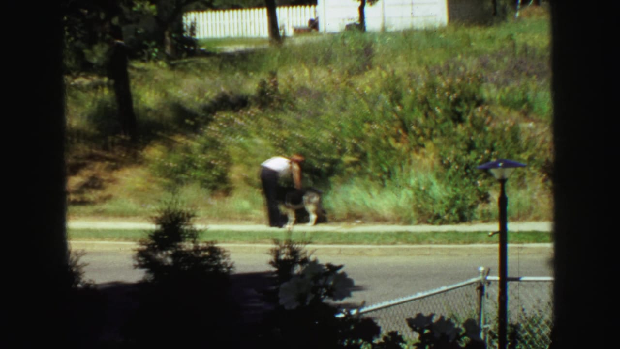 A wider 1968 Vancouver home-movie view places the woman and German Shepherd across the street near grass, trees, and fencing.