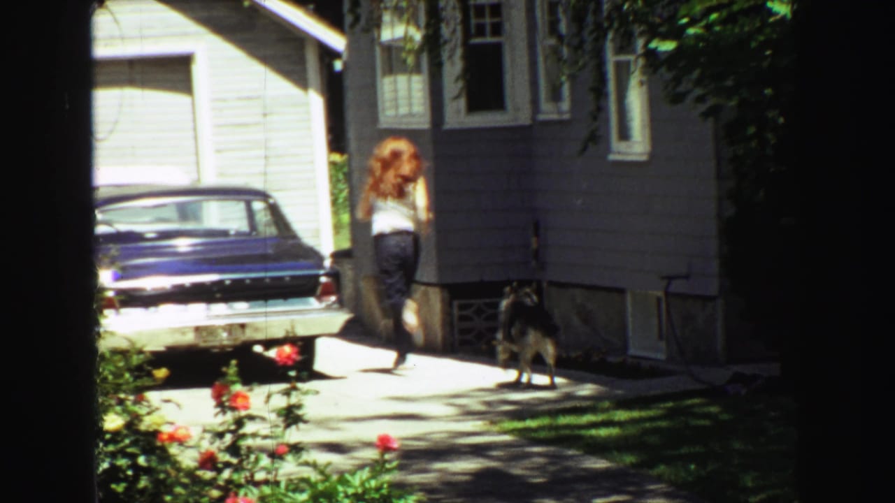 Woman and German Shepherd near a blue sedan in a sunlit residential driveway.