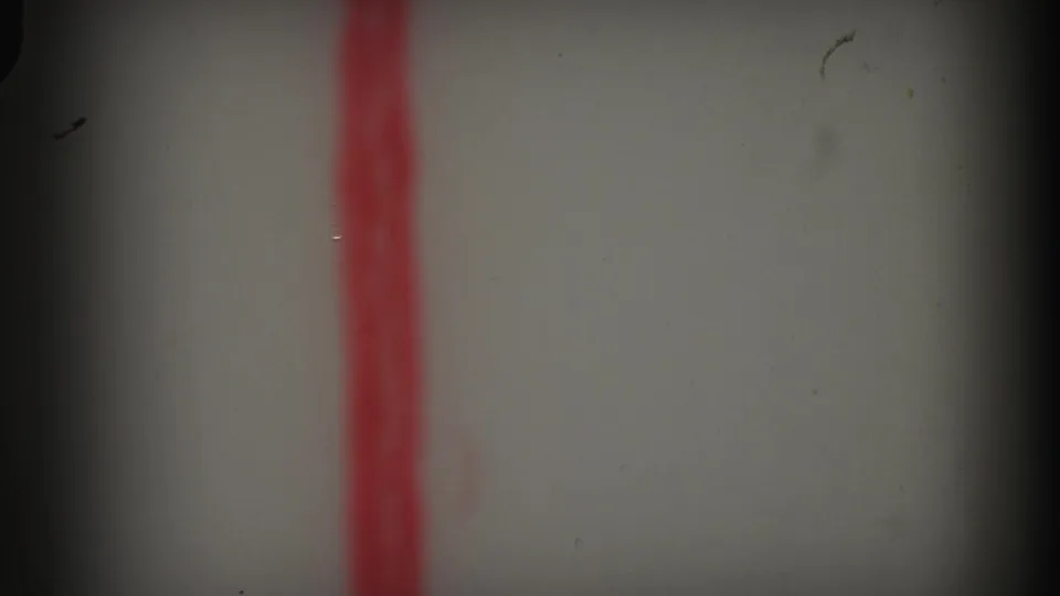 End frame from the 8mm clip showing a soft gray field, dark frame edges, and a vertical red film or light streak.