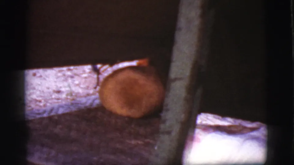 1968 Cottonwood, Arizona 8mm frame with a cut log, post, dark wall, and blanket edge inside a shadowed cabin room.