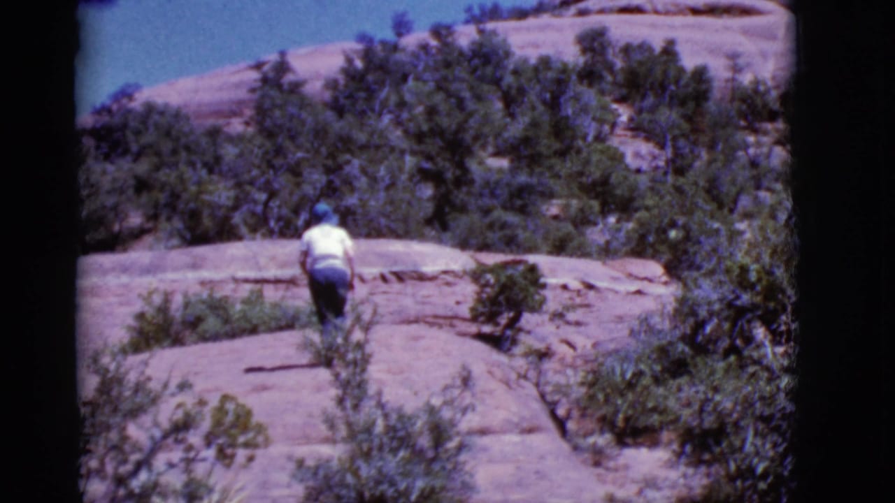Woman in a white shirt climbs a rocky desert trail with shrubs around her.