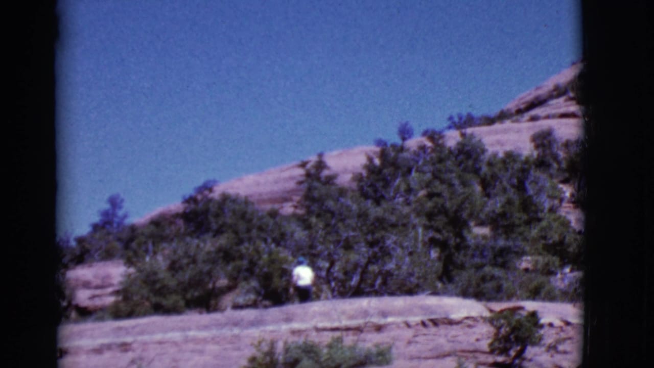 Person in a white shirt and hat walking on a rocky slope with trees and brush.